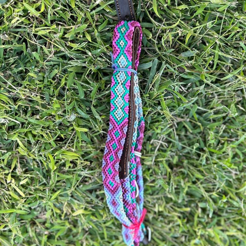 Collar and Leash