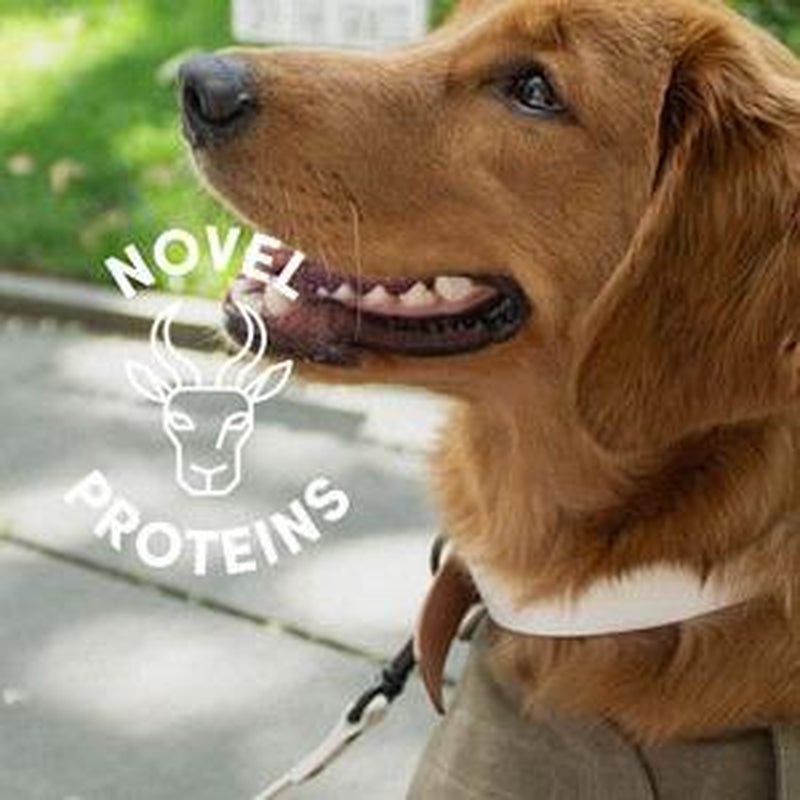 Premium All-Natural BISON LIVER Freeze-Dried Dog Treats - 2 Oz Bag, Ethically Sourced & Made in the USA