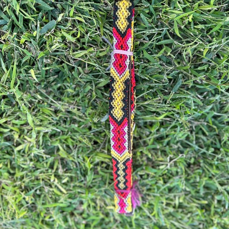 Collar and Leash