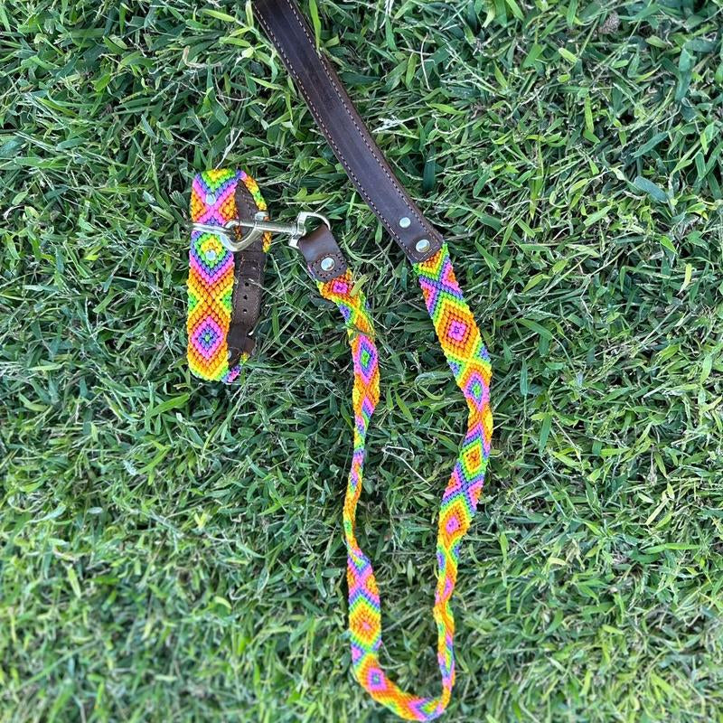 Collar and Leash