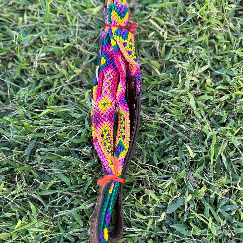 Collar and Leash
