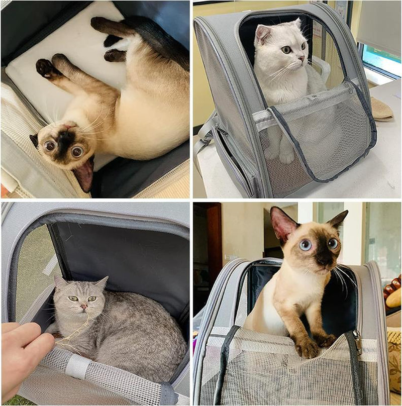 Stylish Texsens Collapsible Pet Backpack Carrier for Small Cats & Dogs - Light Gray Camouflage Canvas