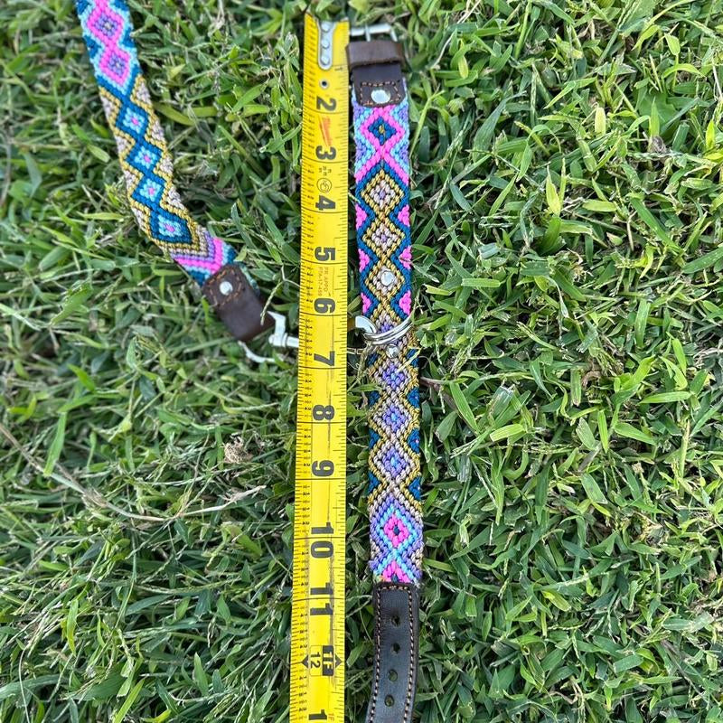 Collar and Leash