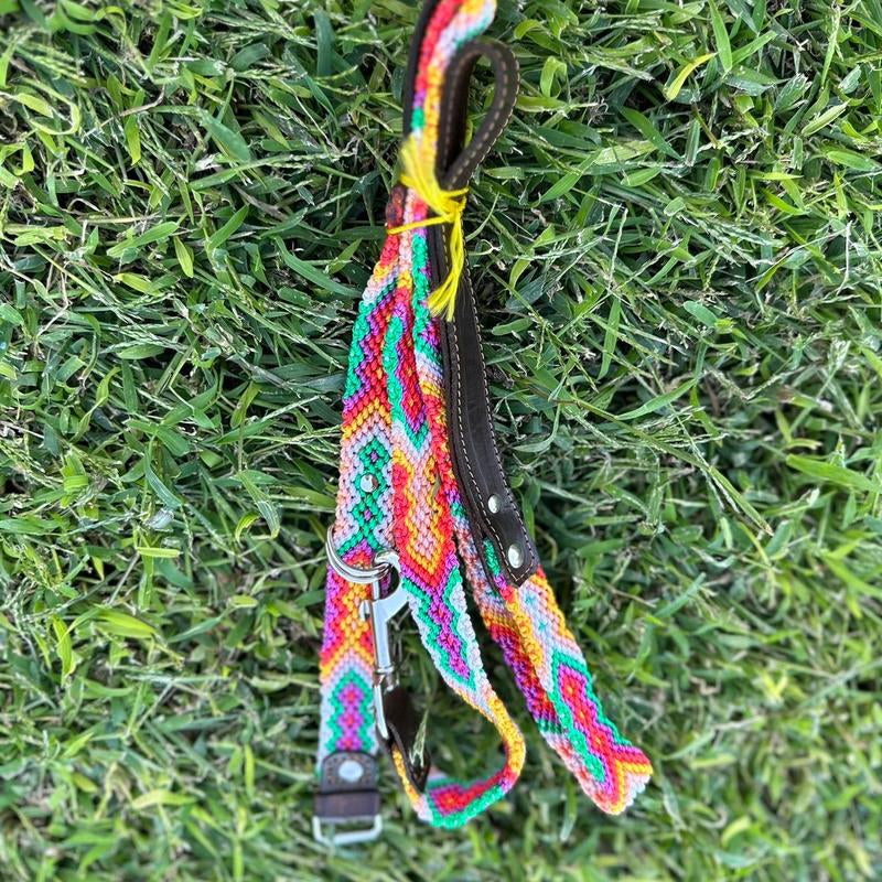 Collar and Leash
