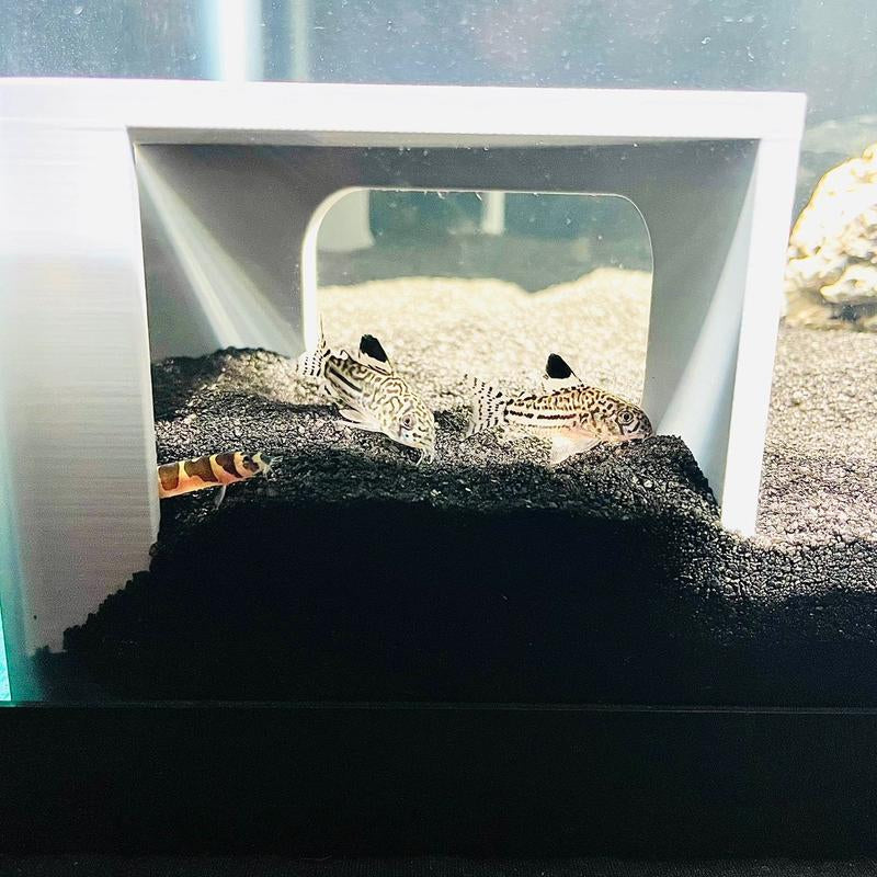 Aquarium Corner Cave Hideout for Axolotls & Cichlids - Perfect Fish Tank Decoration & Aquascape Accessory