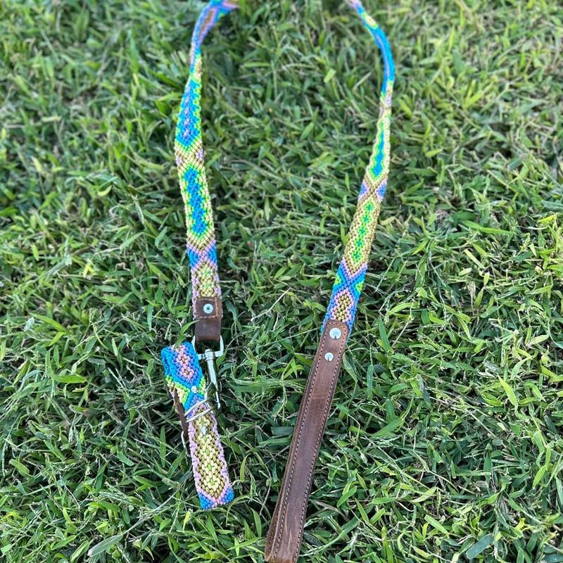 Collar and Leash