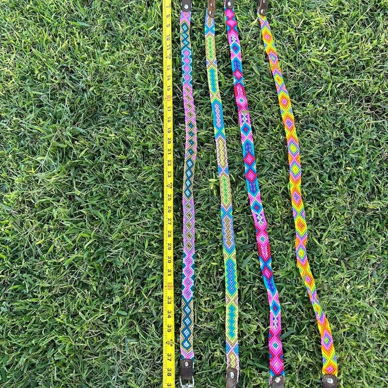 Collar and Leash