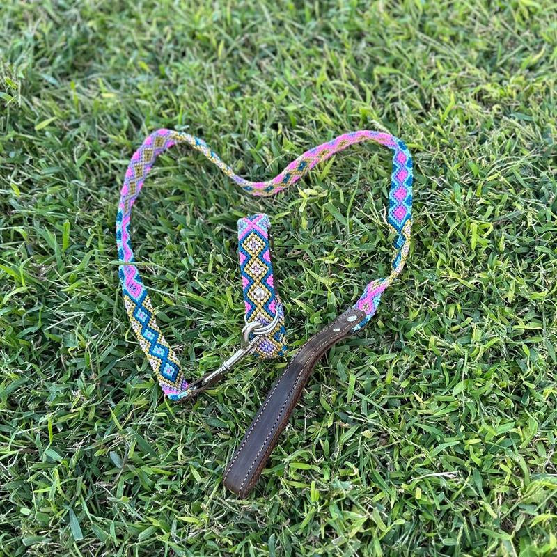 Collar and Leash