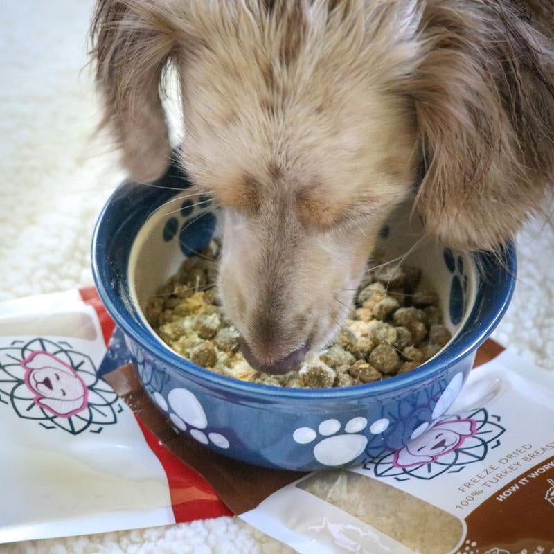 HOLI Freeze-Dried Raw Chicken Breast Dog Food Topper - 100% Natural and Nutritious Supplemental Feeding for Pups