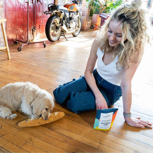 Premium All-Natural BISON LIVER Freeze-Dried Dog Treats - 2 Oz Bag, Ethically Sourced & Made in the USA