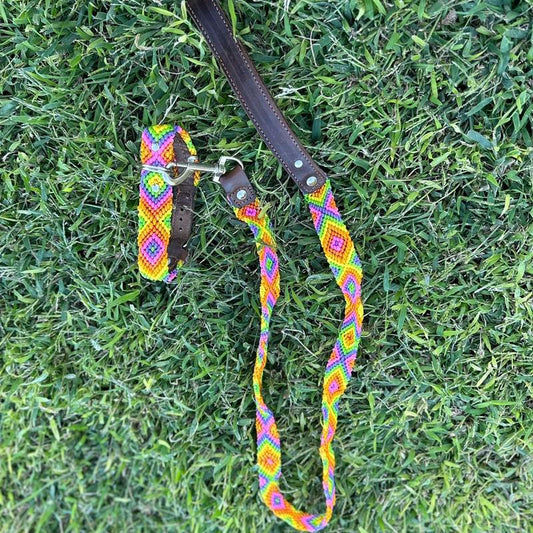Collar and Leash