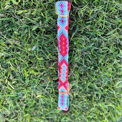 Collar and Leash