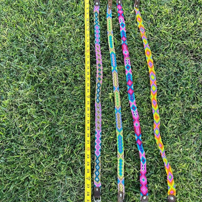 Collar and Leash